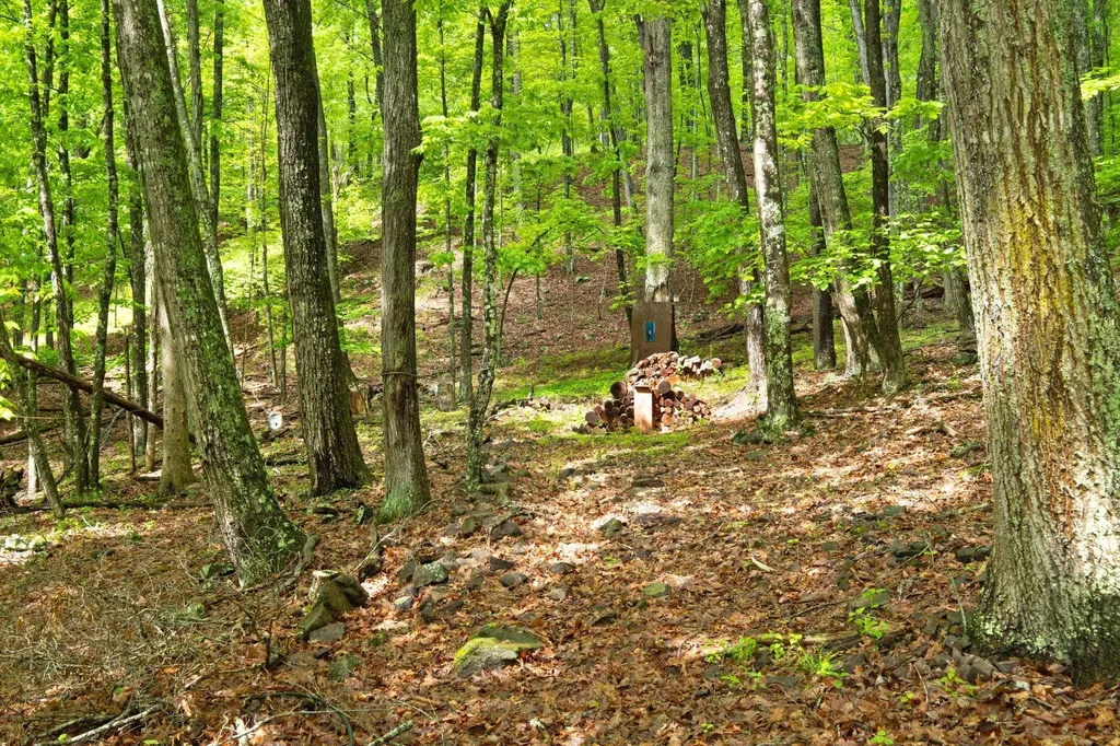 537 High Valley Drive N Monterey VA 24465