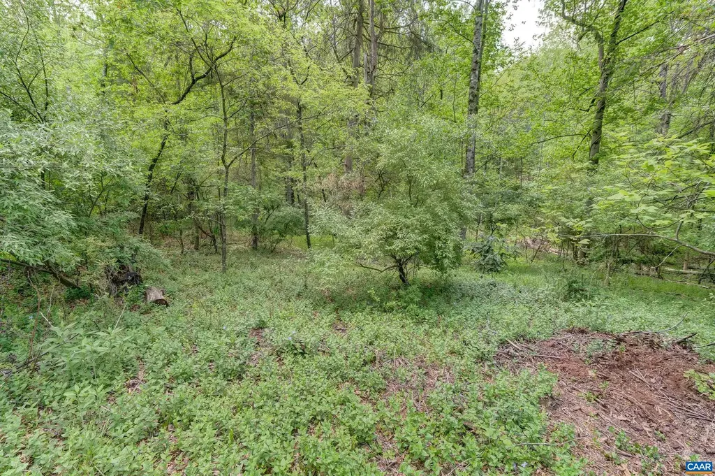 3665 Country Lane Charlottesville VA 22901