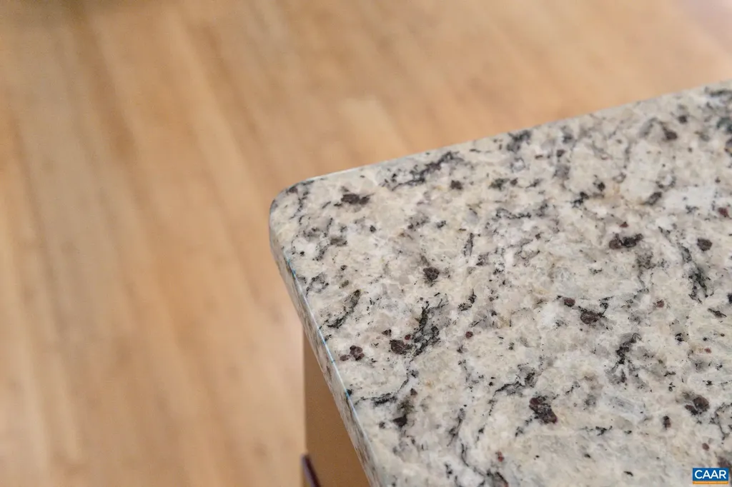 1393 Willow Lake Drive Charlottesville VA 22902