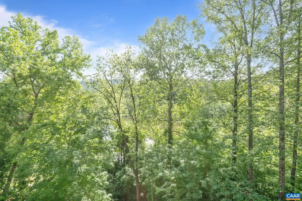 1393 Willow Lake Drive Charlottesville VA 22902