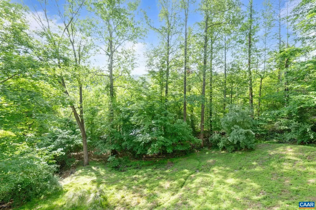 1393 Willow Lake Drive Charlottesville VA 22902