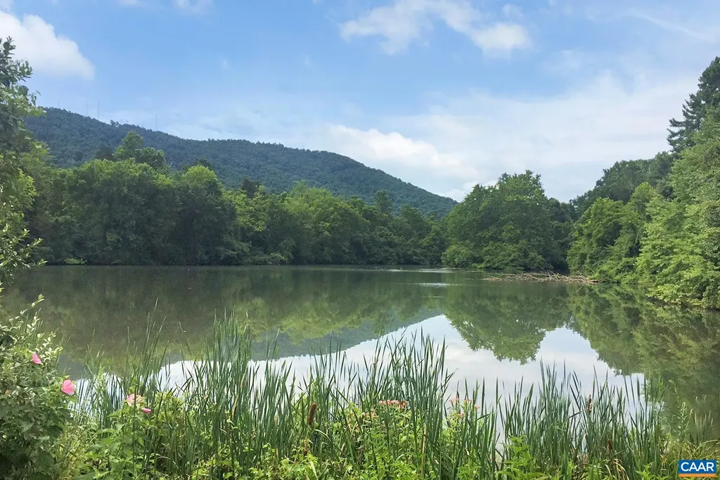 1393 Willow Lake Drive Charlottesville VA 22902