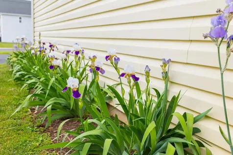 321 Emerson Lane Harrisonburg VA 22802