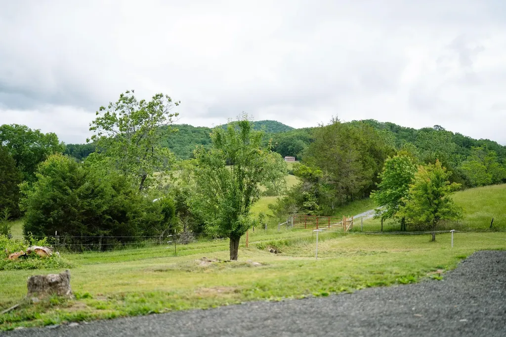 1702 Mill Lane Elkton VA 22827