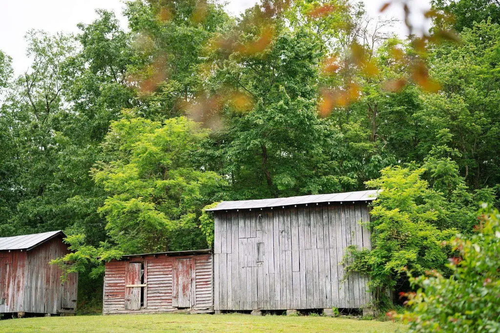 1702 Mill Lane Elkton VA 22827