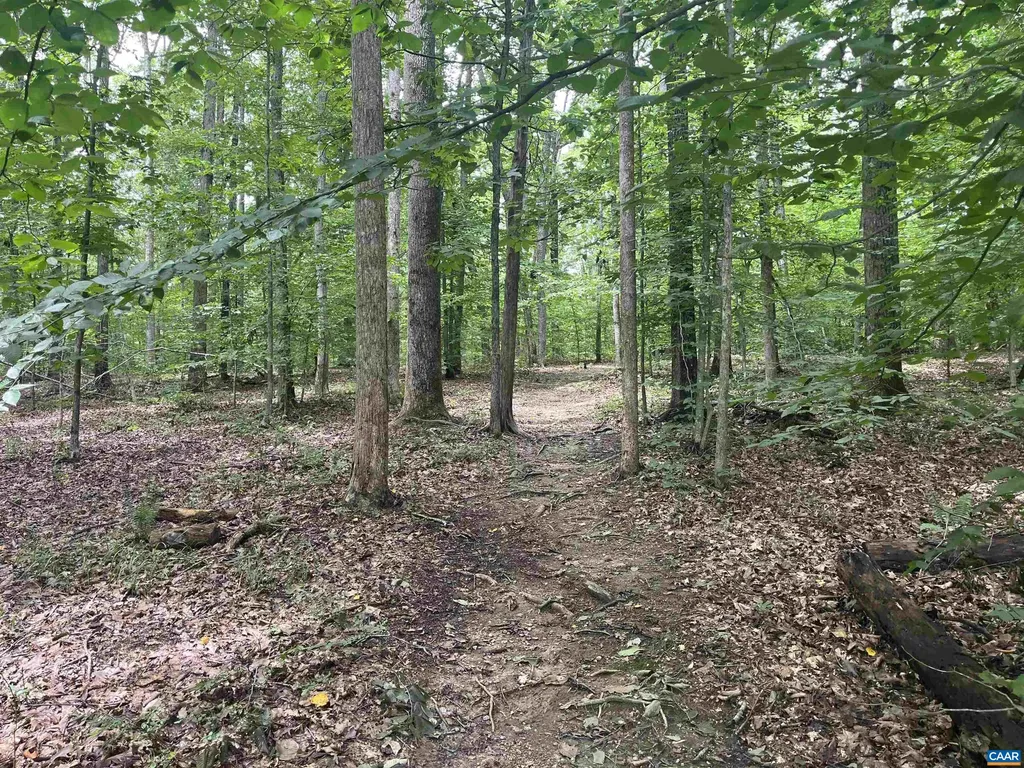 242 Bowlers Mill Lane Gordonsville VA 22942