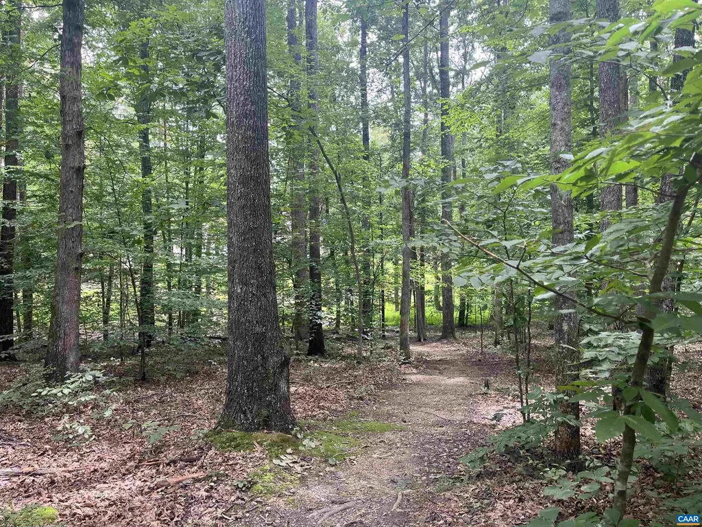 242 Bowlers Mill Lane Gordonsville VA 22942