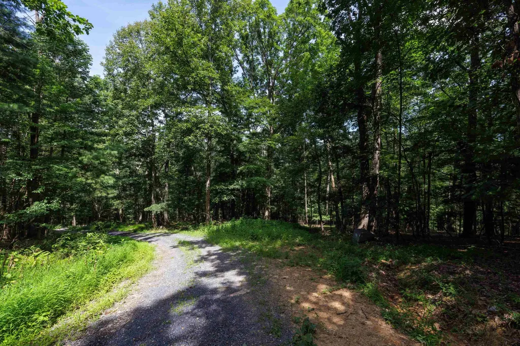 Tbd Brunk Spring Lane Broadway VA 22815