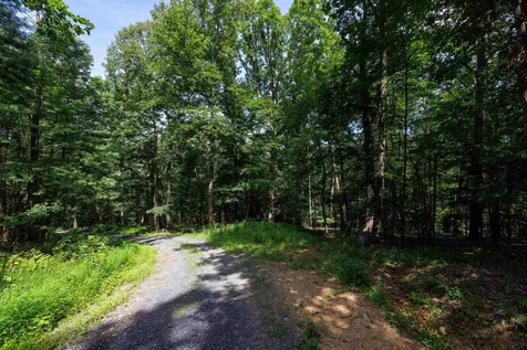 Tbd Brunk Spring Lane Broadway VA 22815