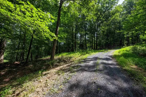 Tbd Brunk Spring Lane Broadway VA 22815