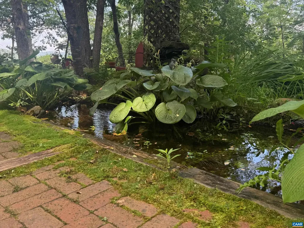 1950 Locust Hollow Road Charlottesville VA 22903