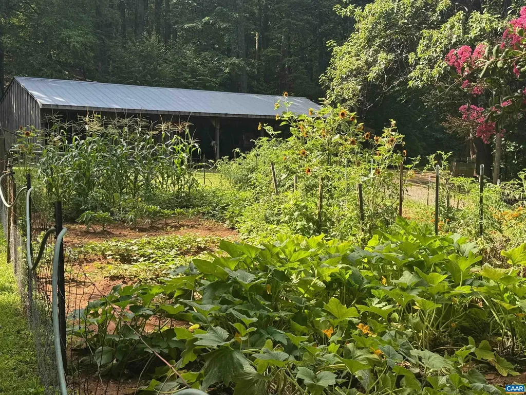 1950 Locust Hollow Road Charlottesville VA 22903