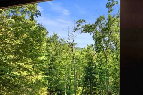 1363 Calf Mountain Road Waynesboro VA 22980