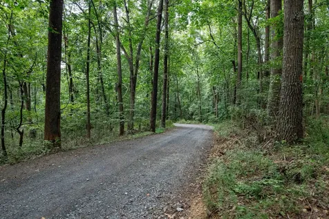 11180 Daphna Road Broadway VA 22815