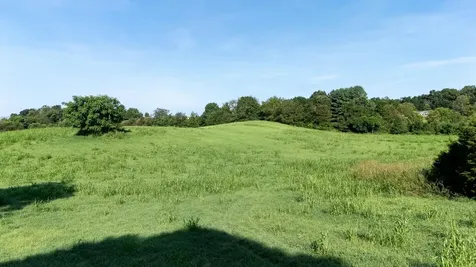 21-ACRES Tbd Mount Pisgah Road Mount Sidney VA 24467