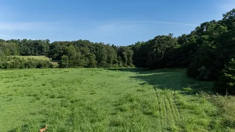 21-ACRES Tbd Mount Pisgah Road Mount Sidney VA 24467