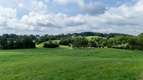 21-ACRES Tbd Mount Pisgah Road Mount Sidney VA 24467