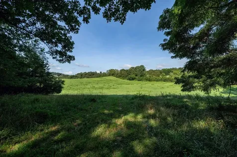 21-ACRES Tbd Mount Pisgah Road Mount Sidney VA 24467