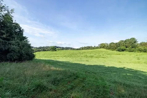 21-ACRES Tbd Mount Pisgah Road Mount Sidney VA 24467