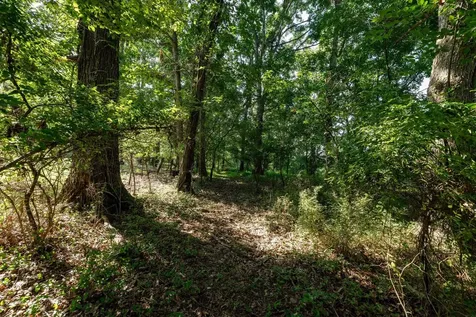 21-ACRES Tbd Mount Pisgah Road Mount Sidney VA 24467