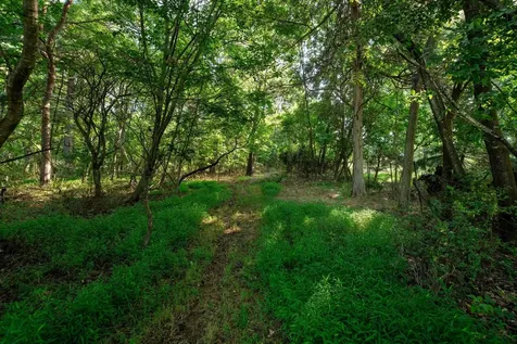 21-ACRES Tbd Mount Pisgah Road Mount Sidney VA 24467