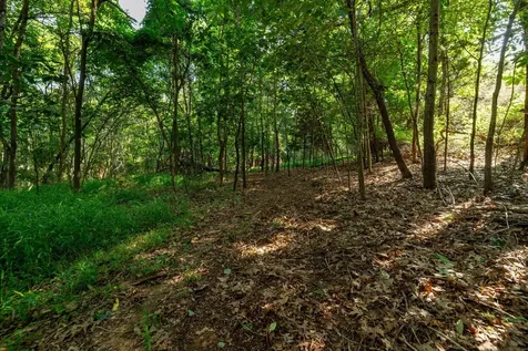 21-ACRES Tbd Mount Pisgah Road Mount Sidney VA 24467