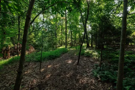 21-ACRES Tbd Mount Pisgah Road Mount Sidney VA 24467