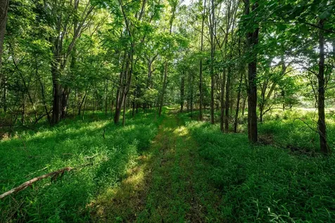21-ACRES Tbd Mount Pisgah Road Mount Sidney VA 24467