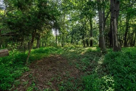 21-ACRES Tbd Mount Pisgah Road Mount Sidney VA 24467
