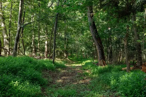 21-ACRES Tbd Mount Pisgah Road Mount Sidney VA 24467