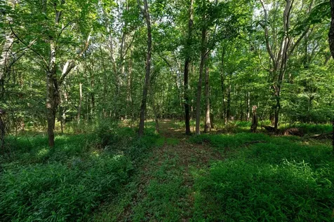 21-ACRES Tbd Mount Pisgah Road Mount Sidney VA 24467