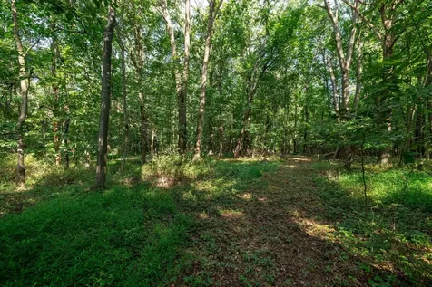 21-ACRES Tbd Mount Pisgah Road Mount Sidney VA 24467