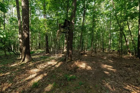 21-ACRES Tbd Mount Pisgah Road Mount Sidney VA 24467