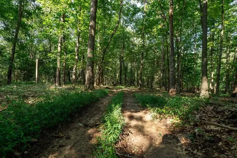 21-ACRES Tbd Mount Pisgah Road Mount Sidney VA 24467