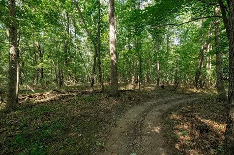 21-ACRES Tbd Mount Pisgah Road Mount Sidney VA 24467