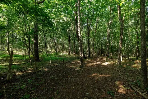 21-ACRES Tbd Mount Pisgah Road Mount Sidney VA 24467