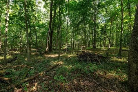 21-ACRES Tbd Mount Pisgah Road Mount Sidney VA 24467