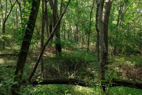 21-ACRES Tbd Mount Pisgah Road Mount Sidney VA 24467
