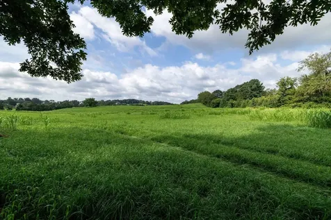 21-ACRES Tbd Mount Pisgah Road Mount Sidney VA 24467
