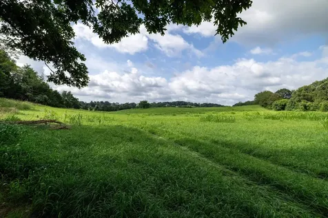 21-ACRES Tbd Mount Pisgah Road Mount Sidney VA 24467