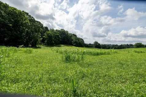 21-ACRES Tbd Mount Pisgah Road Mount Sidney VA 24467