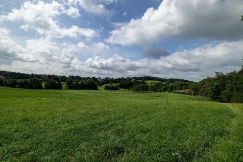 21-ACRES Tbd Mount Pisgah Road Mount Sidney VA 24467