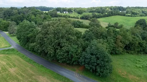 21-ACRES Tbd Mount Pisgah Road Mount Sidney VA 24467