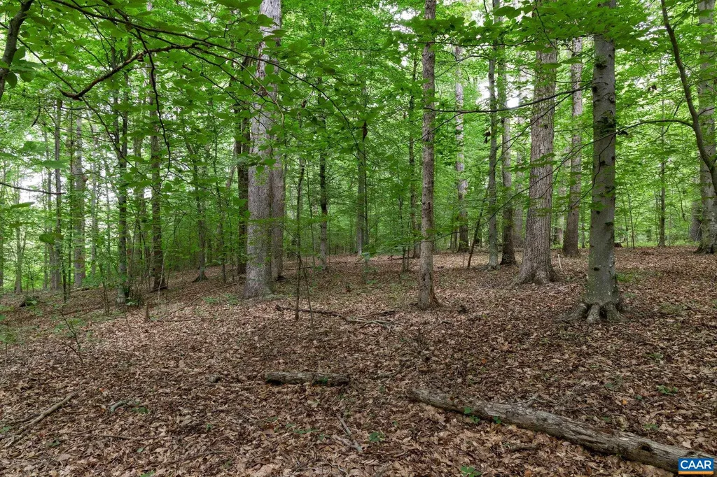 258 Palmer Place Ruckersville VA 22968