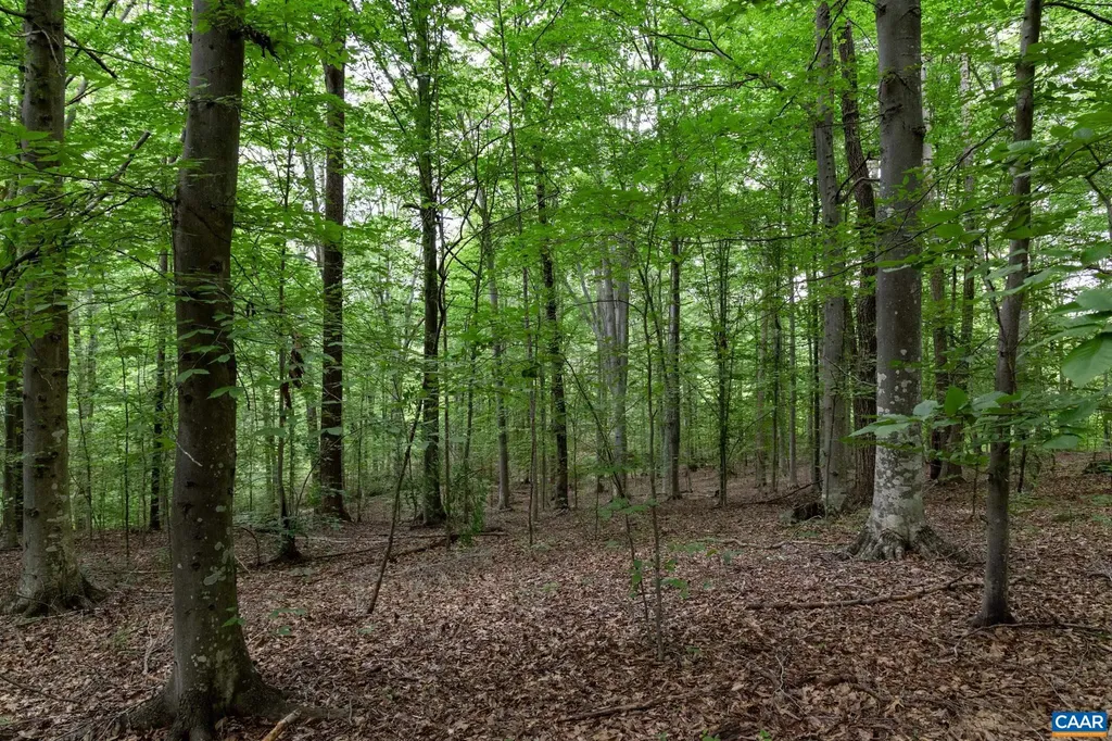 258 Palmer Place Ruckersville VA 22968