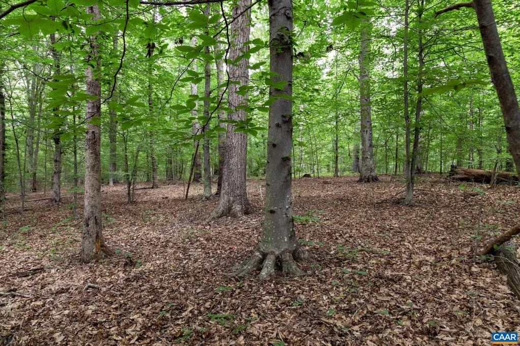 258 Palmer Place Ruckersville VA 22968