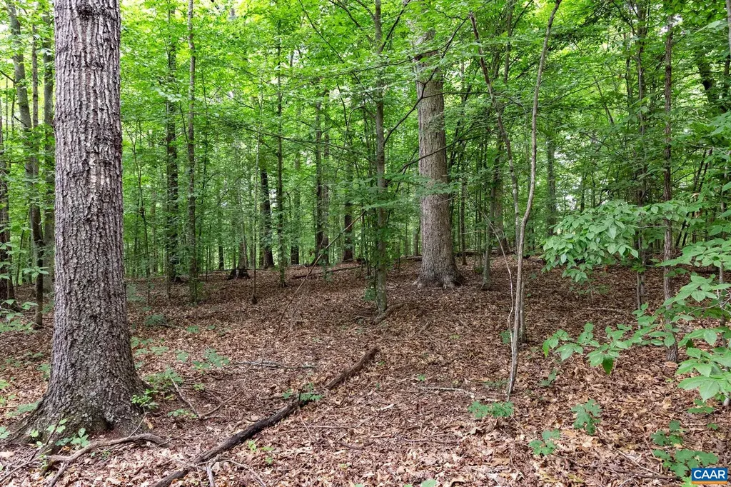 258 Palmer Place Ruckersville VA 22968