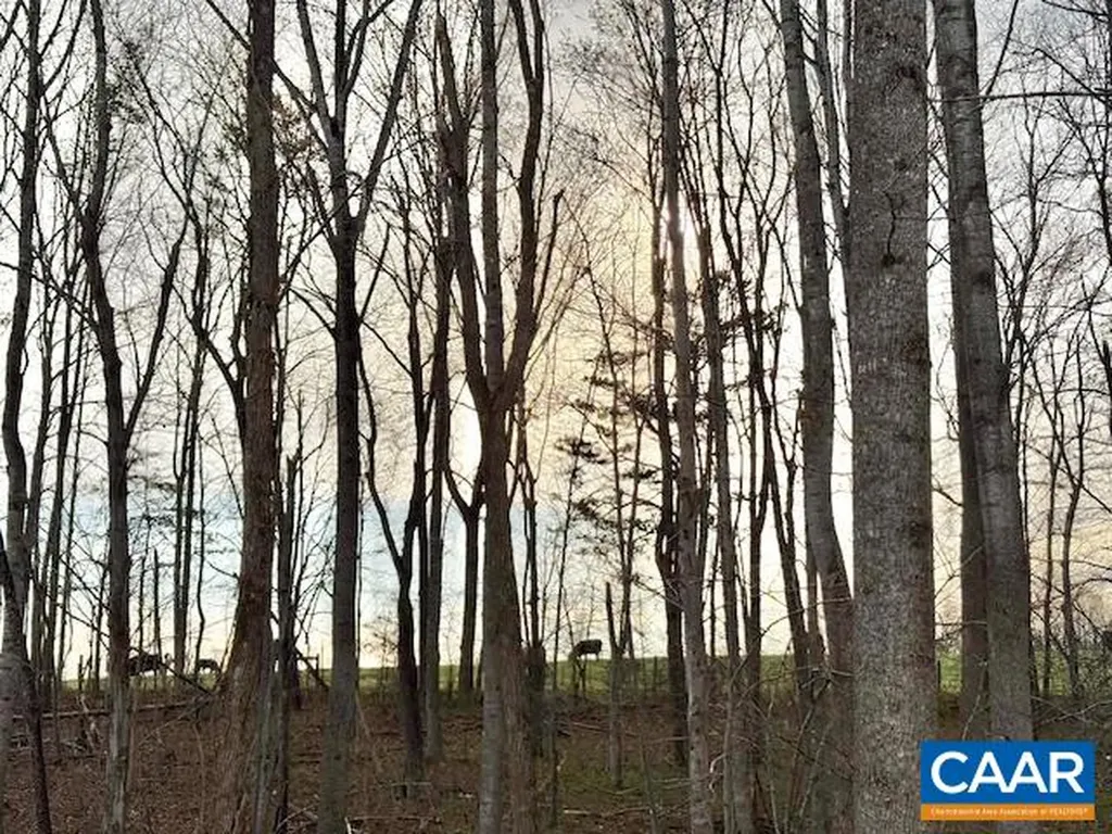 53 Porkchop Court Louisa VA 23093