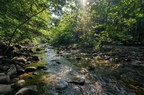 409 & 431 Lower Rawley Lane Hinton VA 22831