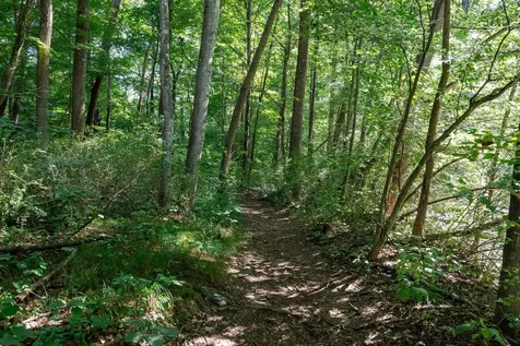 409 & 431 Lower Rawley Lane Hinton VA 22831